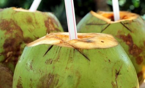 Água de coco é sinônimo de saúde e hidrata o corpo